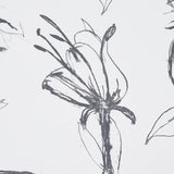 Schumacher Close Your Eyes And Remember Soft Black Wallpaper