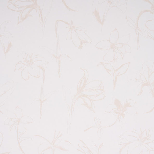 Schumacher Close Your Eyes And Remember Light Neutral Wallpaper