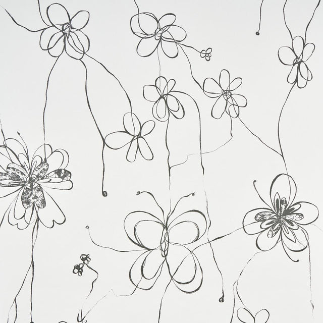 Schumacher Come Back As A Flower Soft Black Wallpaper