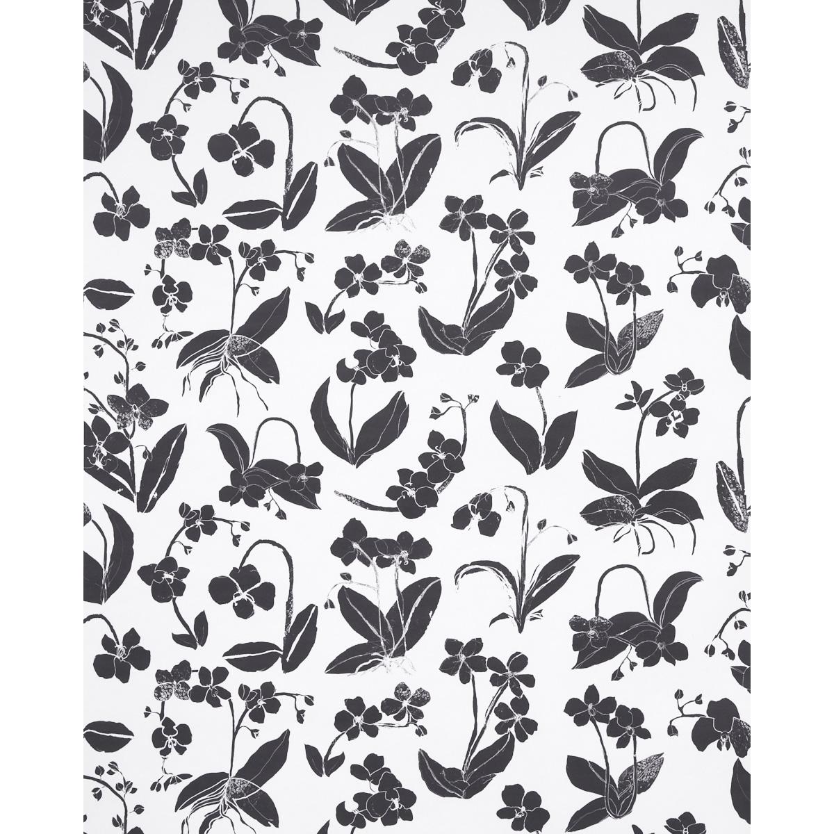 Schumacher Orchids Have Dreams Soft Black Wallpaper