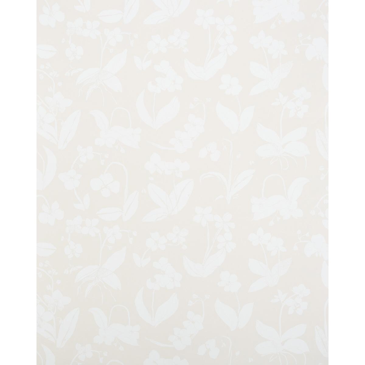 Schumacher Orchids Have Dreams Light Neutral Wallpaper