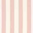 Schumacher James Stripe Blush Fabric