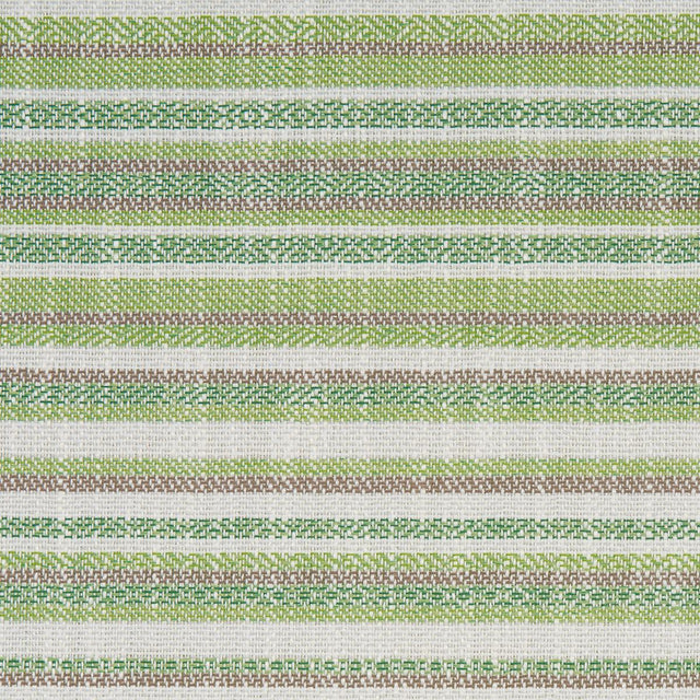 Schumacher Dylan Indoor/Outdoor Green Fabric