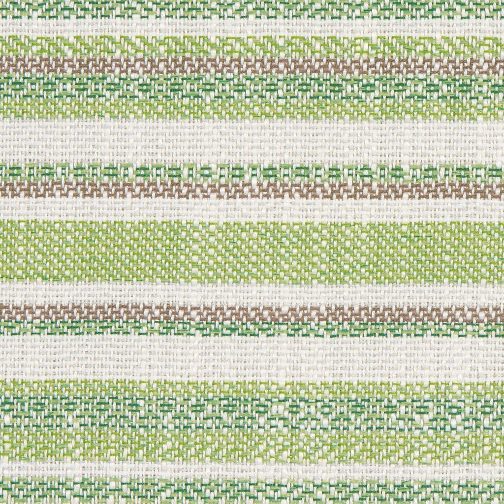 Schumacher Dylan Indoor/Outdoor Green Fabric