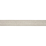 Schumacher Paisley Embroidered Tape Sand Trim