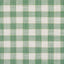 Schumacher Martina Plaid Indoor/Outdoor Green Fabric
