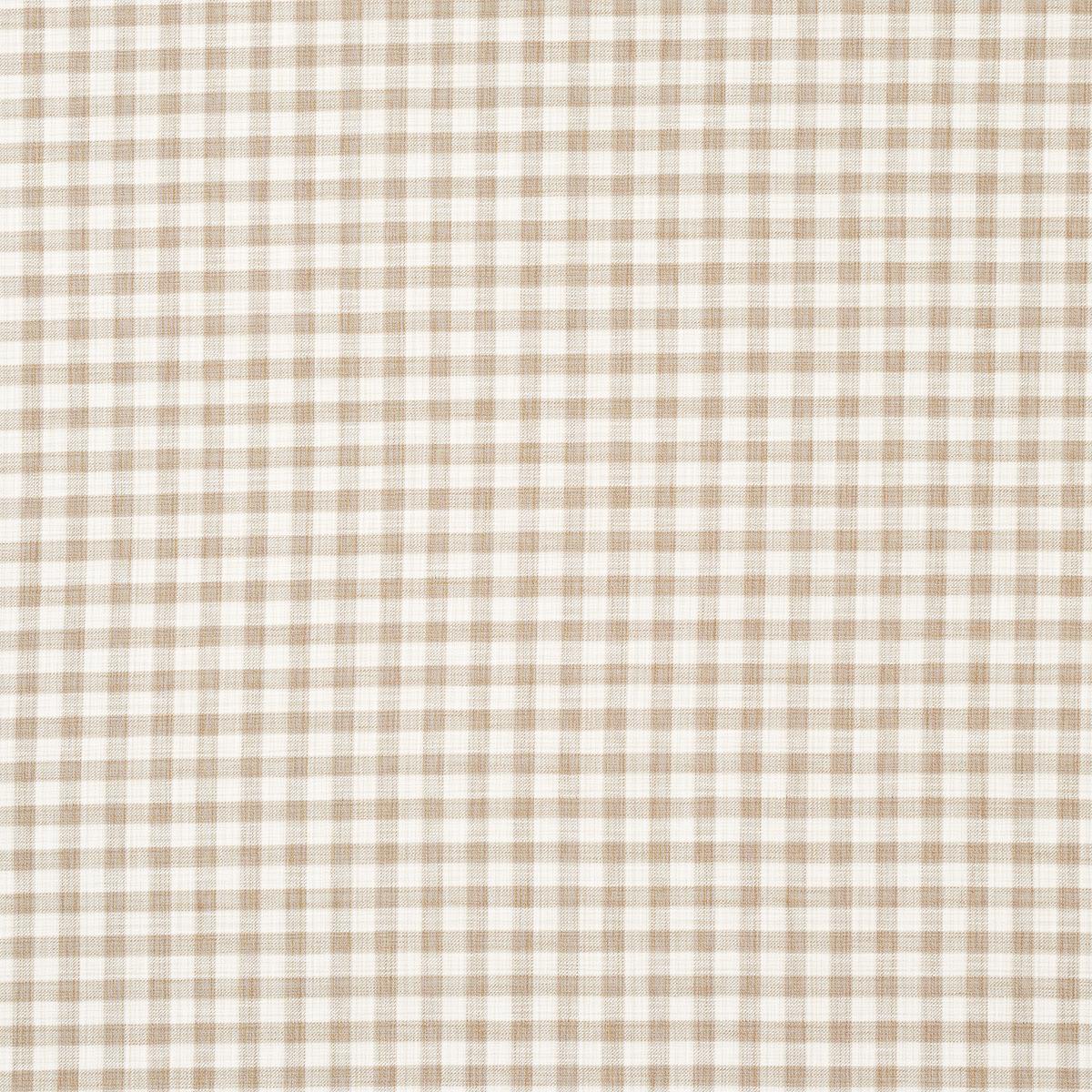 Schumacher Martina Plaid Indoor/Outdoor Natural Fabric
