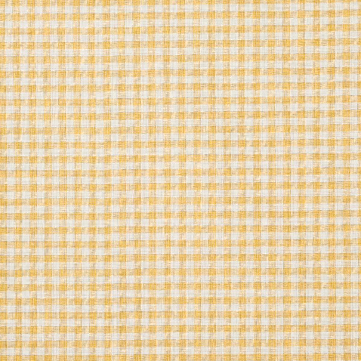 Schumacher Martina Plaid Indoor/Outdoor Yellow Fabric