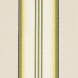 Schumacher Randolph Stripe Moir Magnolia Fabric