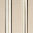 Schumacher Randolph Stripe Moir Shell Fabric