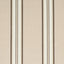 Schumacher Randolph Stripe Moir Shell Fabric