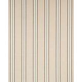 Schumacher Randolph Stripe Moir Shell Fabric