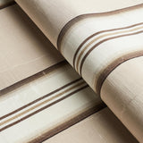 Schumacher Randolph Stripe Moir Shell Fabric