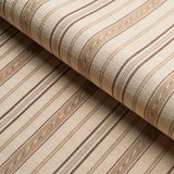 Schumacher Lightfoot Stripe Coffee Fabric