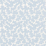 Harlequin Zori Awakening/Cornflower Wallpaper