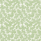 Harlequin Zori Forest/First Light Wallpaper