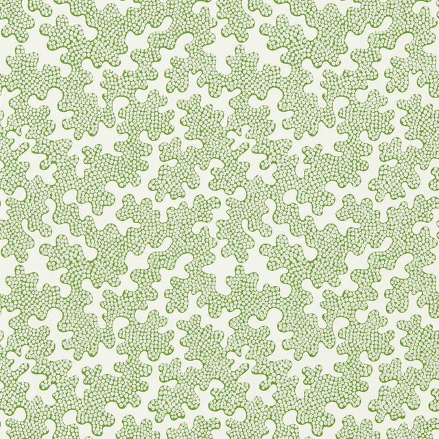 Harlequin Zori Forest/First Light Wallpaper