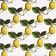 Schumacher Le Citron Ivory Fabric