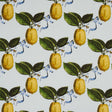 Schumacher Le Citron Sky Fabric