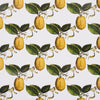 Schumacher Le Citron Ivory Wallpaper