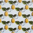 Schumacher Le Citron Sky Wallpaper