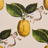 Schumacher Le Citron Natural Wallpaper