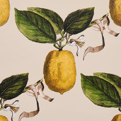 Schumacher Le Citron Natural Wallpaper