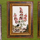 Schumacher Le Grand Tour English Green Wallpaper