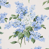 Schumacher Proust'S Lilacs Blue Wallpaper