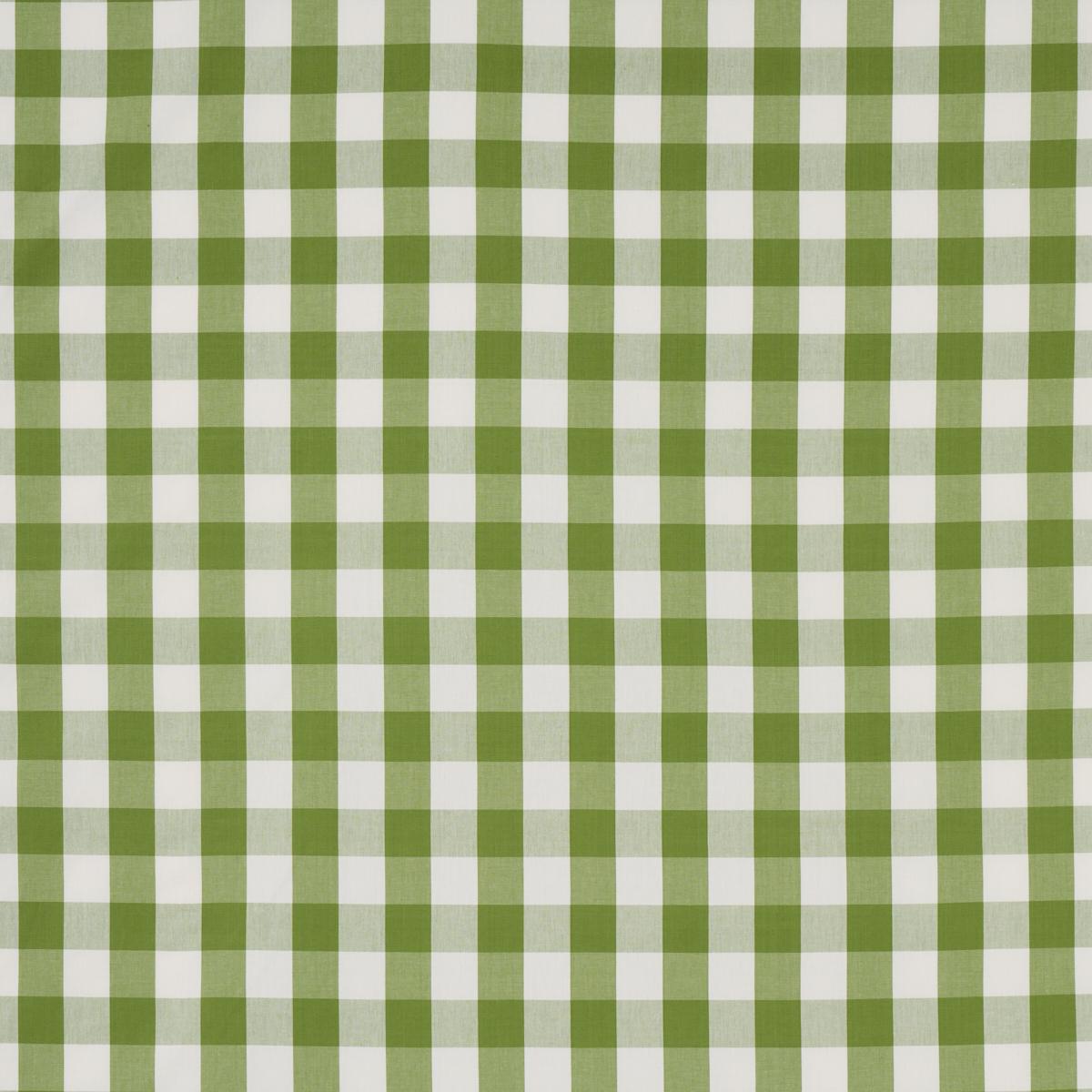Schumacher Camden Cotton Check Leaf Fabric