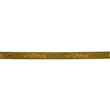 Schumacher Green Le Tigre Embroidered Trim