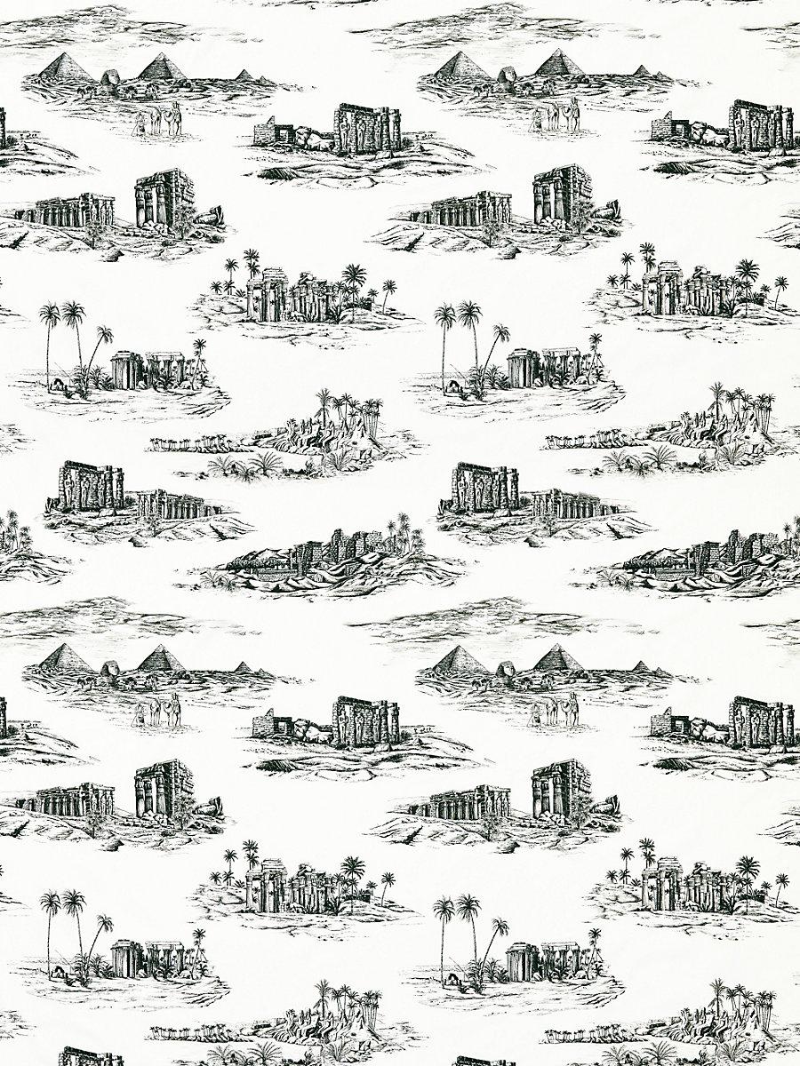 Scalamandre Cairo Toile Ink Fabric