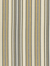 Scalamandre Nile Stripe Desert Fabric