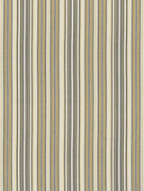 Scalamandre Nile Stripe Desert Fabric