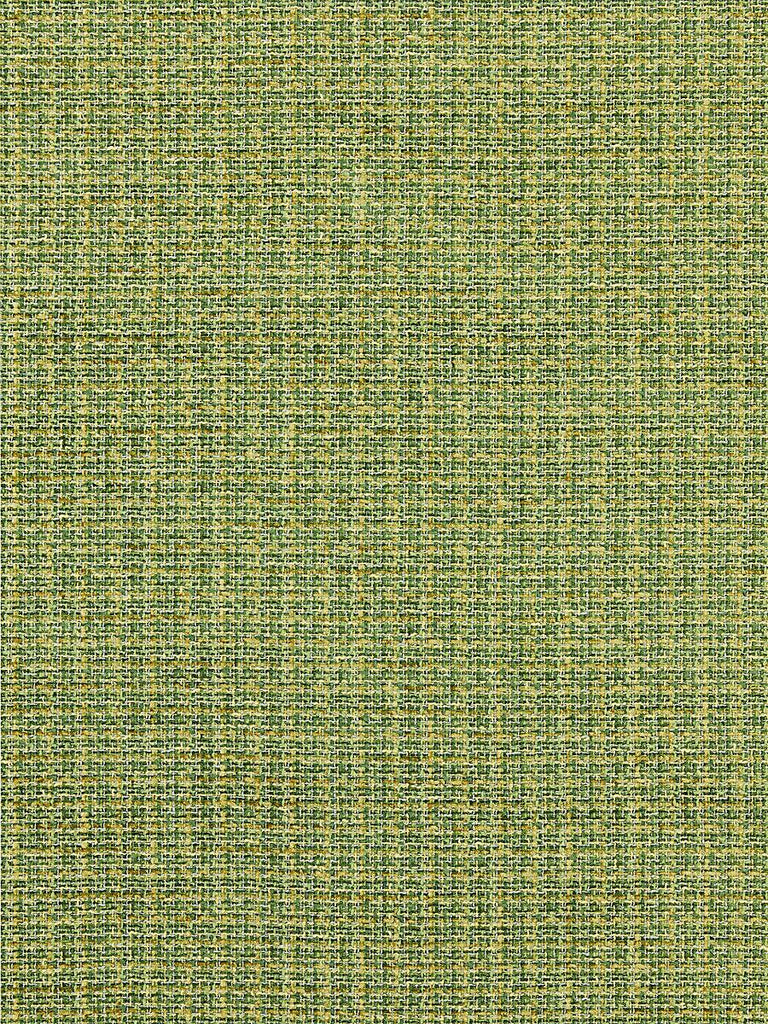 Scalamandre HIGHLAND CHENILLE GRASS Fabric