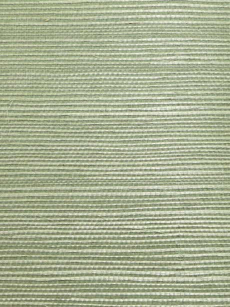 Scalamandre Organic Sisal Sea Glass Wallpaper