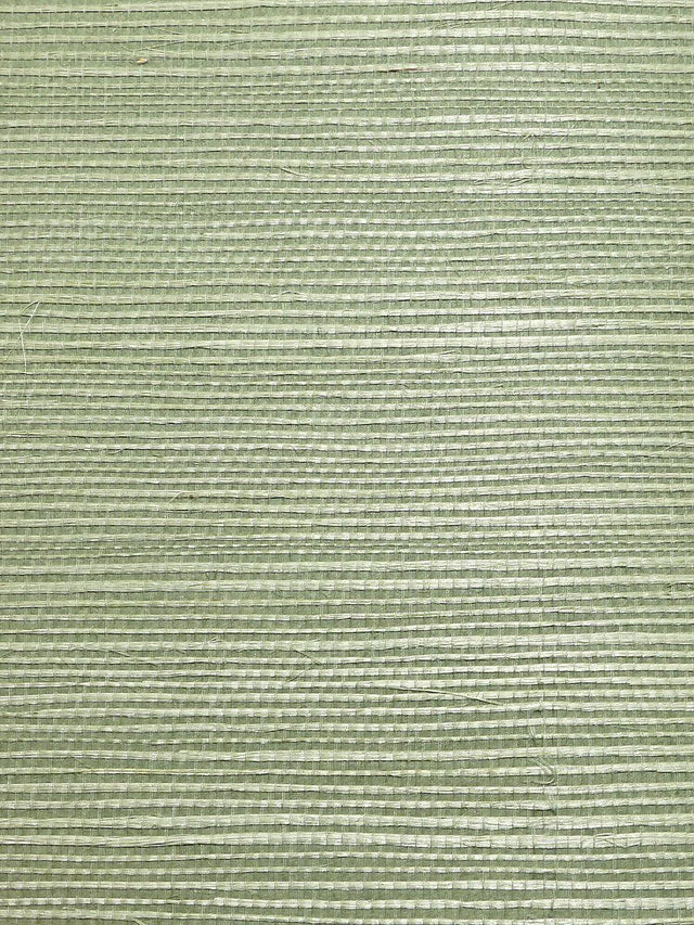 Scalamandre Organic Sisal Sea Glass Wallpaper