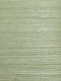 Scalamandre Organic Sisal Sea Glass Wallpaper