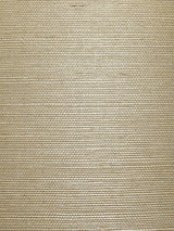 Scalamandre Organic Sisal Cremini Wallpaper