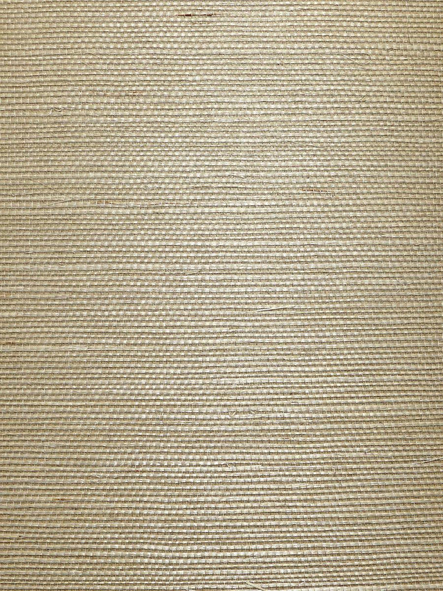 Scalamandre Organic Sisal Cremini Wallpaper