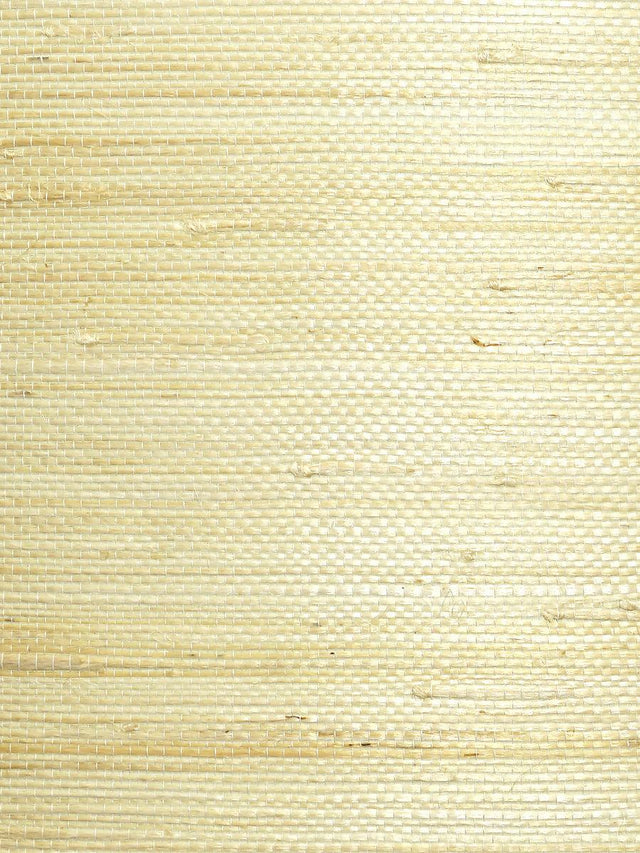 Scalamandre Natural Jute Cotton Wallpaper