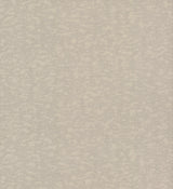 Antonina Vella Weathered Cypress Taupe Wallpaper