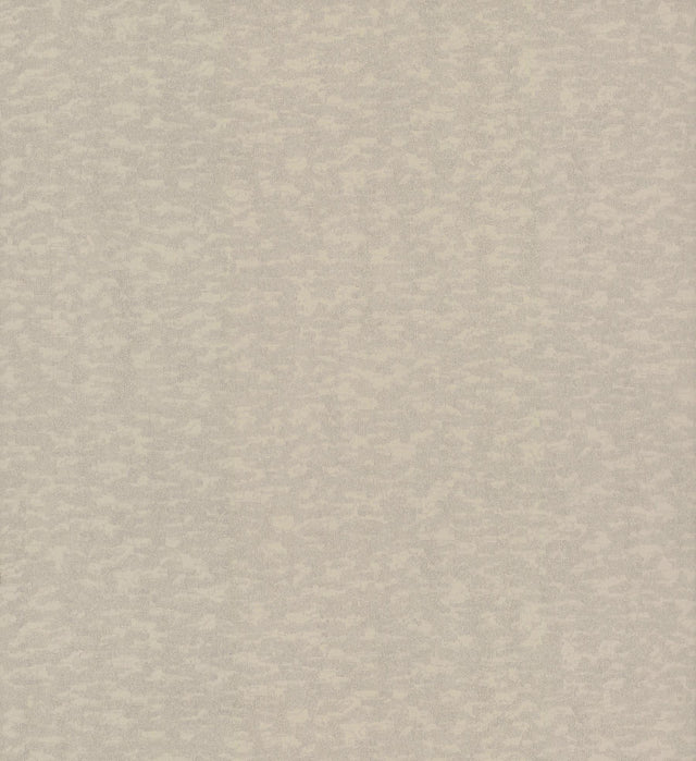 Antonina Vella Weathered Cypress Taupe Wallpaper