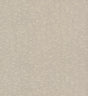 Antonina Vella Weathered Cypress Taupe Wallpaper