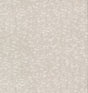 Antonina Vella Weathered Cypress White Wallpaper