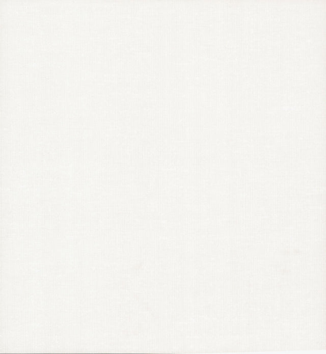 Antonina Vella Gossamer Woven White Wallpaper