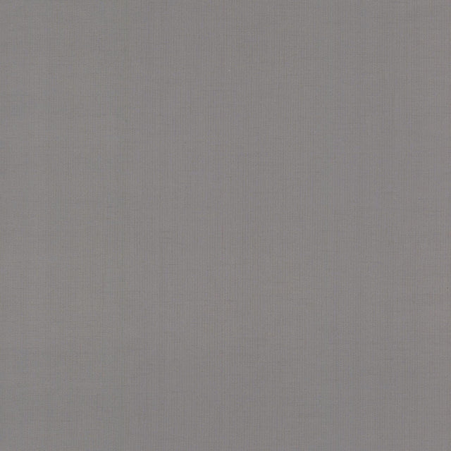 Antonina Vella Gossamer Woven Silver/Blue Wallpaper