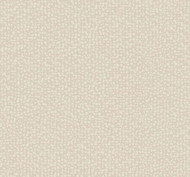 Antonina Vella Galaxies Beige Wallpaper
