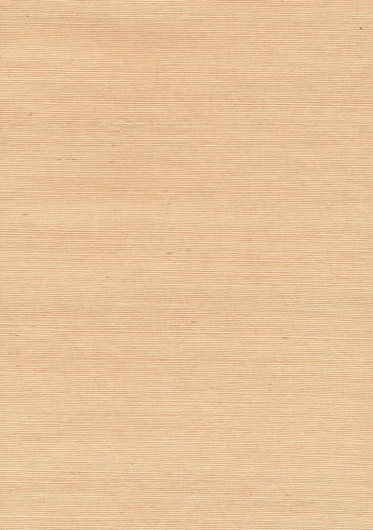 Brewster Home Fashions Goro Cream Grasscloth Wallpaper