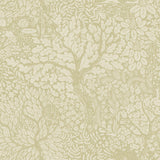 A-Street Prints Olle Sage Forest Sanctuary Wallpaper